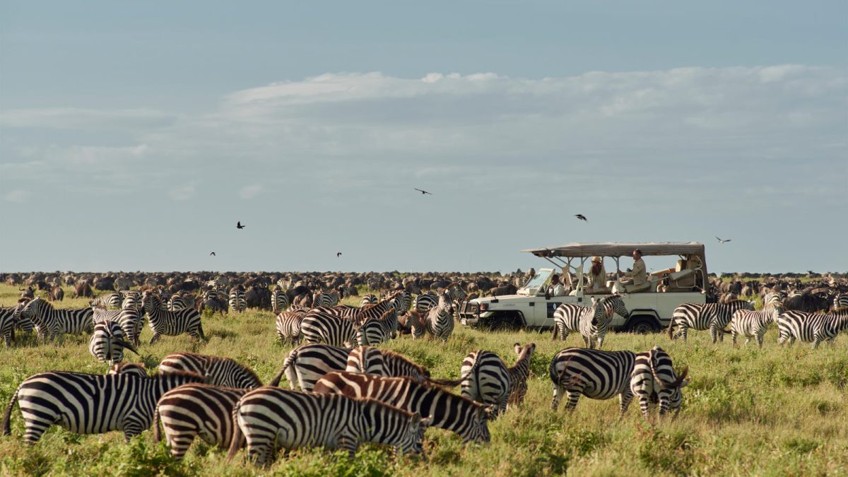 Great Migration Honeymoon Safari