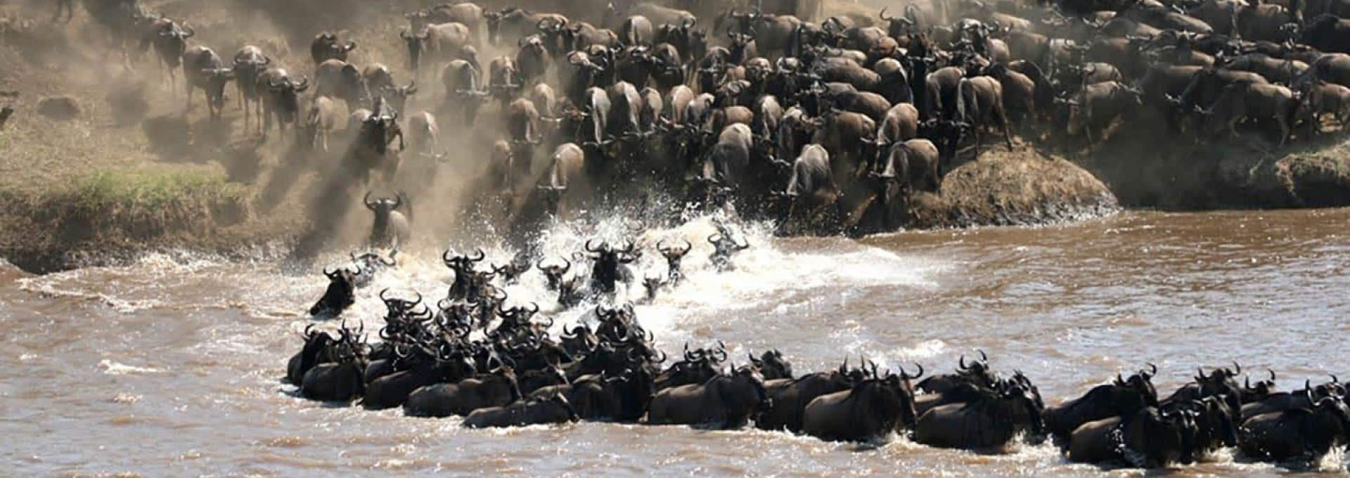 Great Migration Safari with Zanzibar Beach