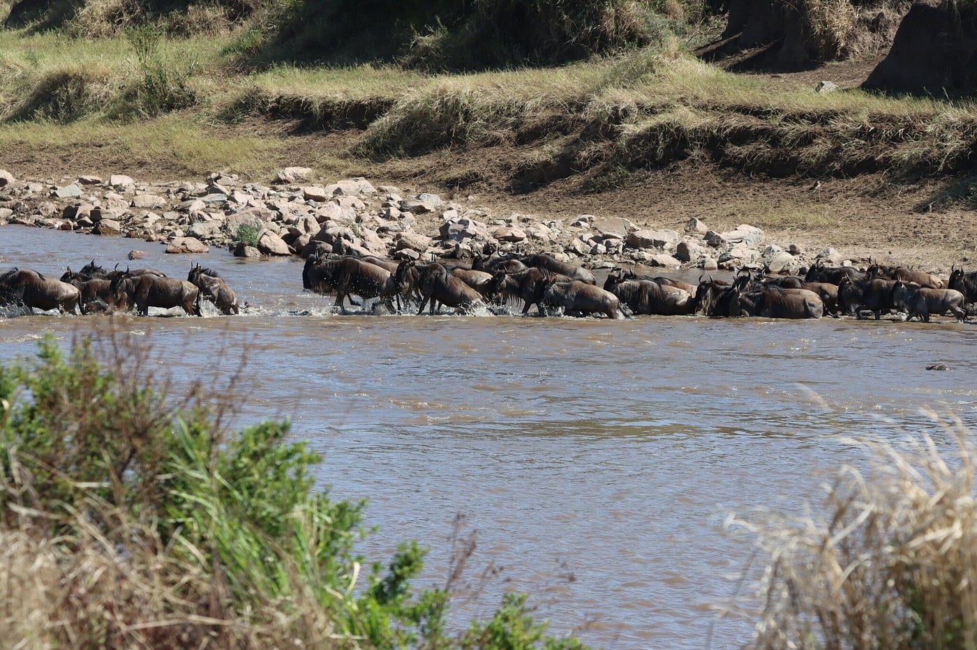 Great Migration and Ngorongoro Crater