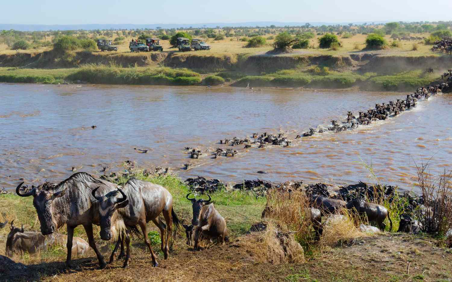 Great Migration