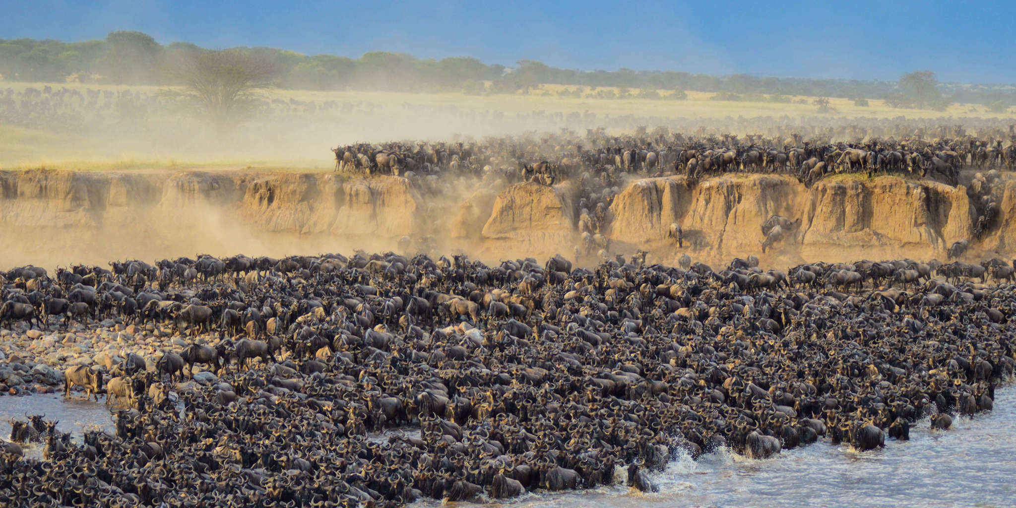 Great Migration