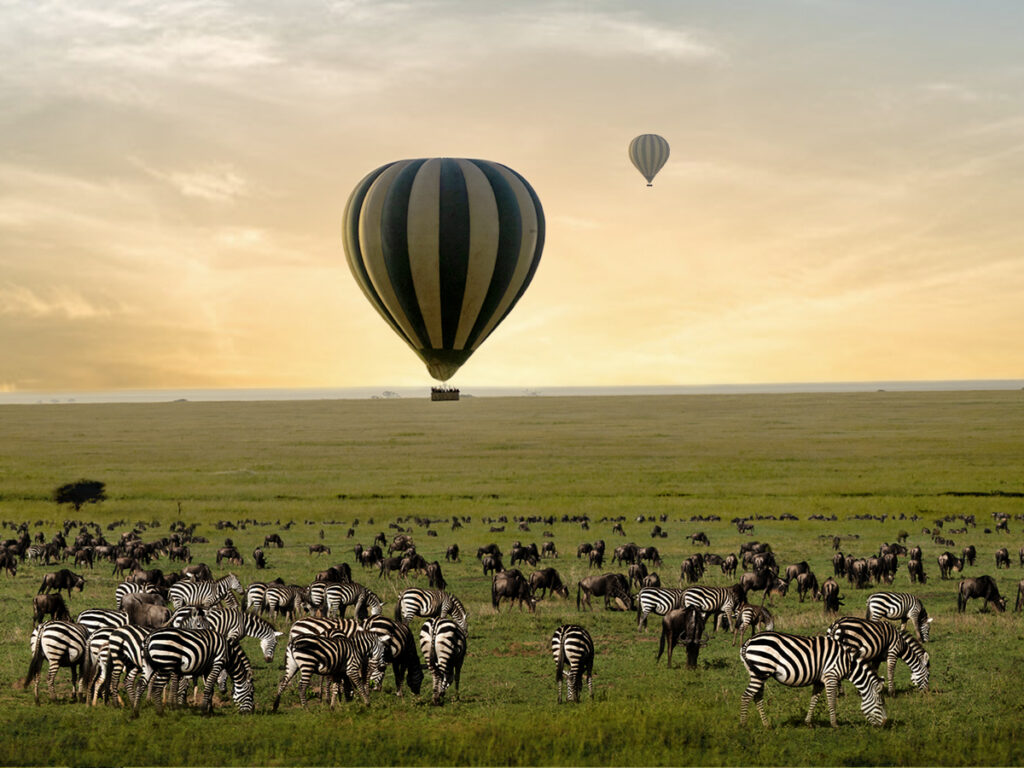 Hot Air Balloon Over the Great Migration