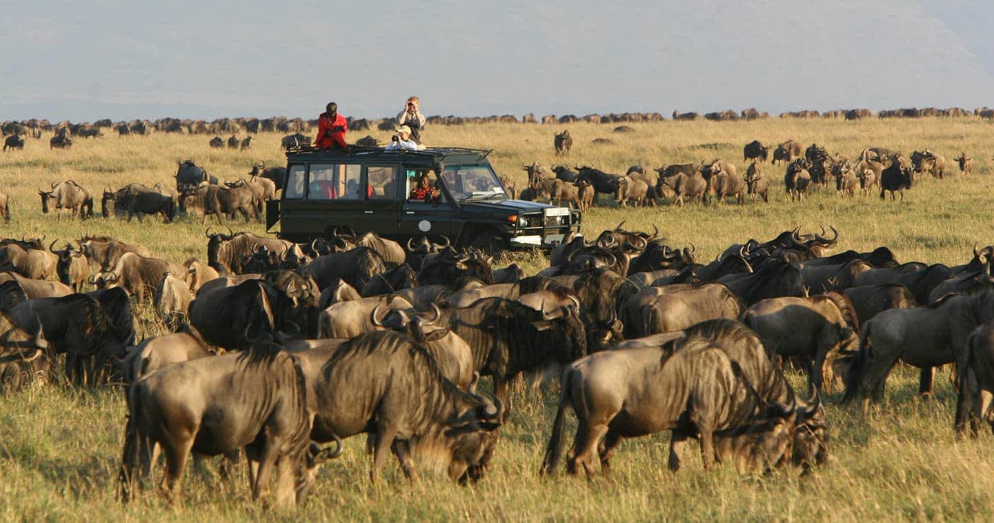 Masai Mara Conservancies for the Great Migration