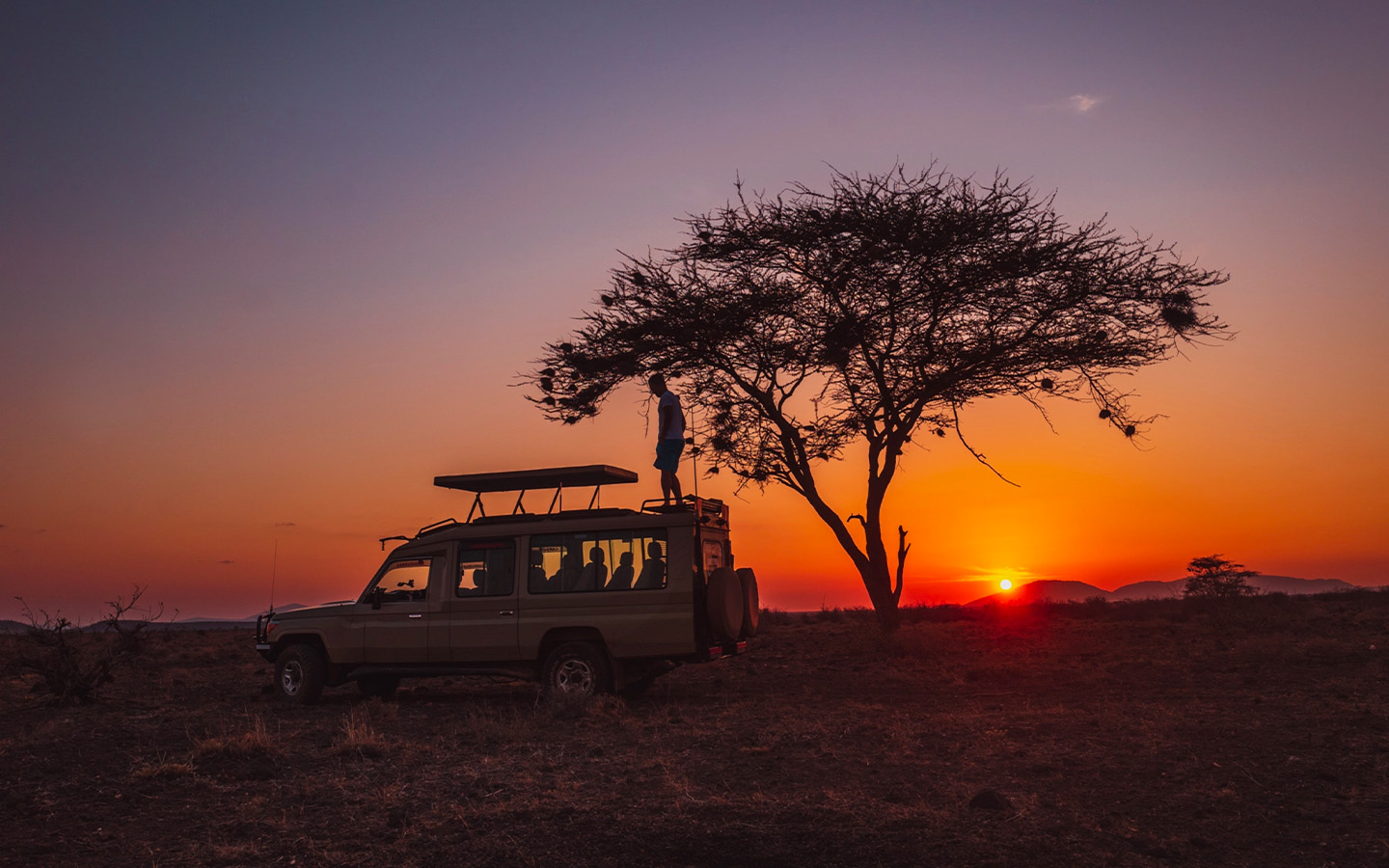 Night Game Drives During Migration Season