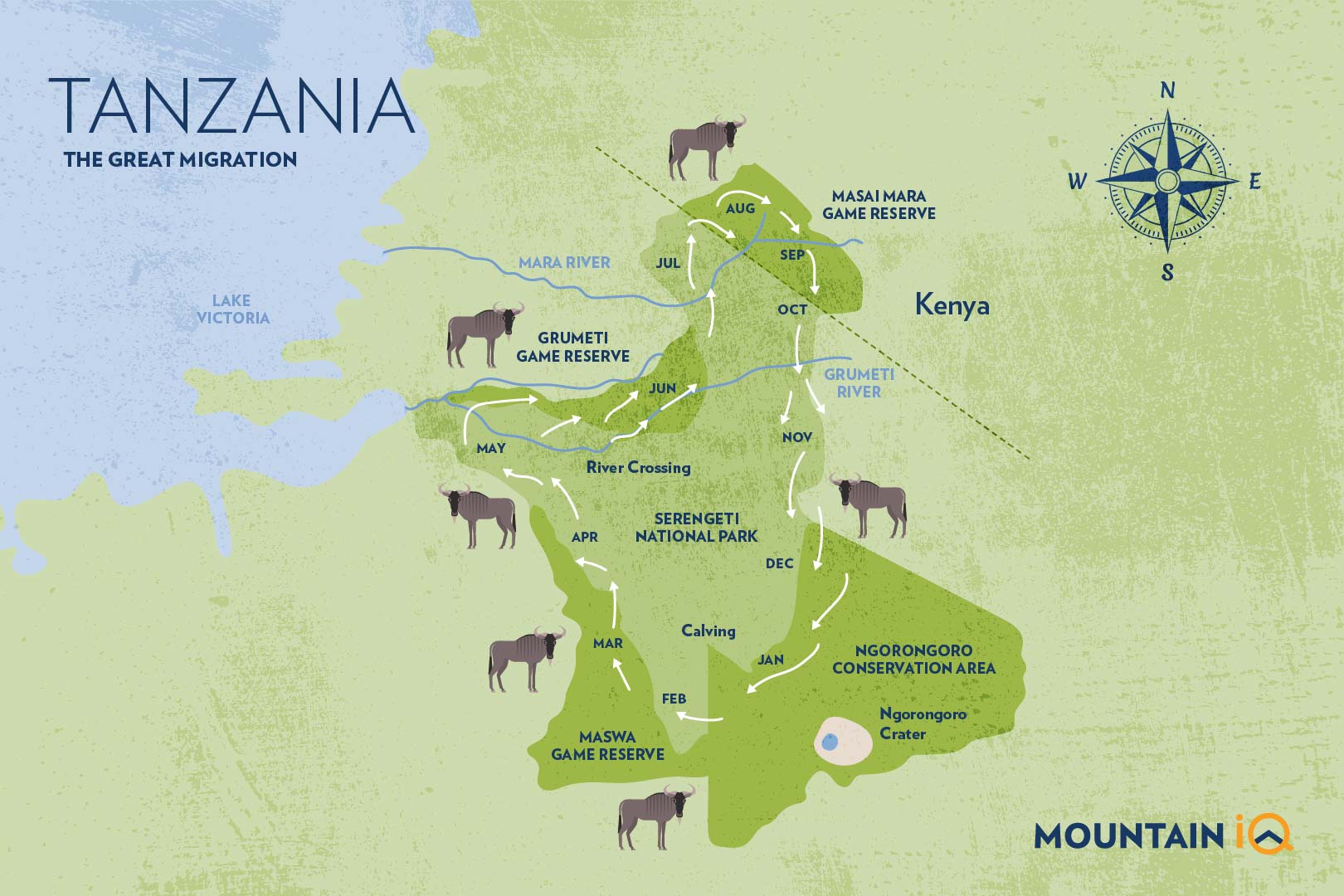 Walking Safaris Near the Great Migration Route