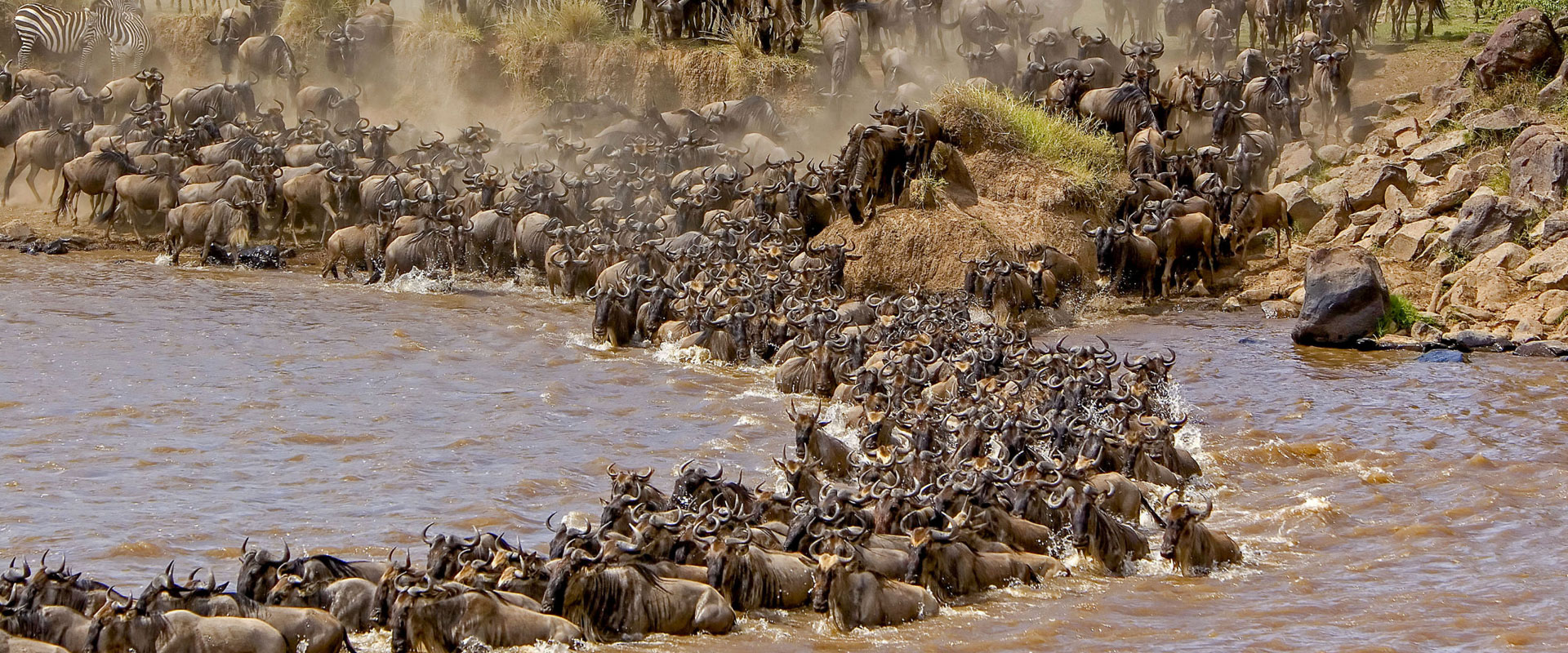 Why the Great Migration Is Considered