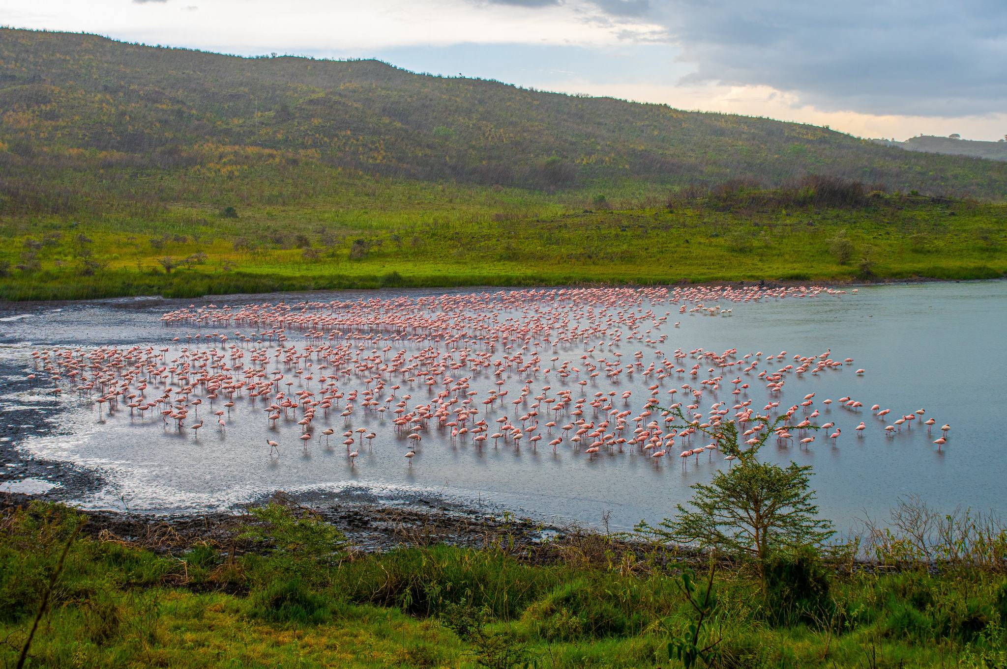 How to Get from Arusha to the Serengeti