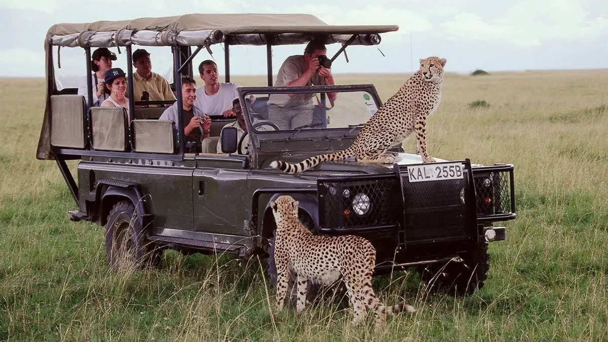 Kenya in the Green Season
