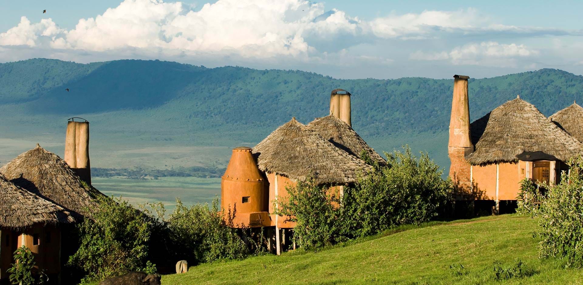 Ngorongoro Crater Safari