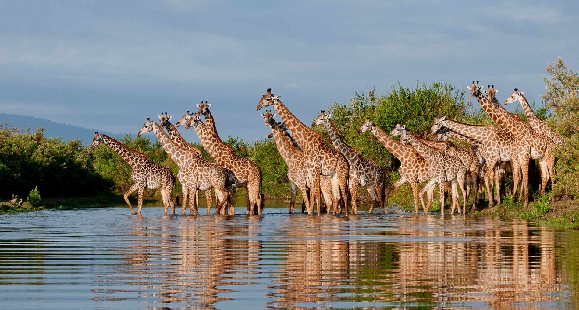 Nyerere (Selous) Game Reserve