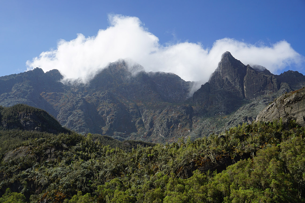 Rwenzori Mountains Uganda