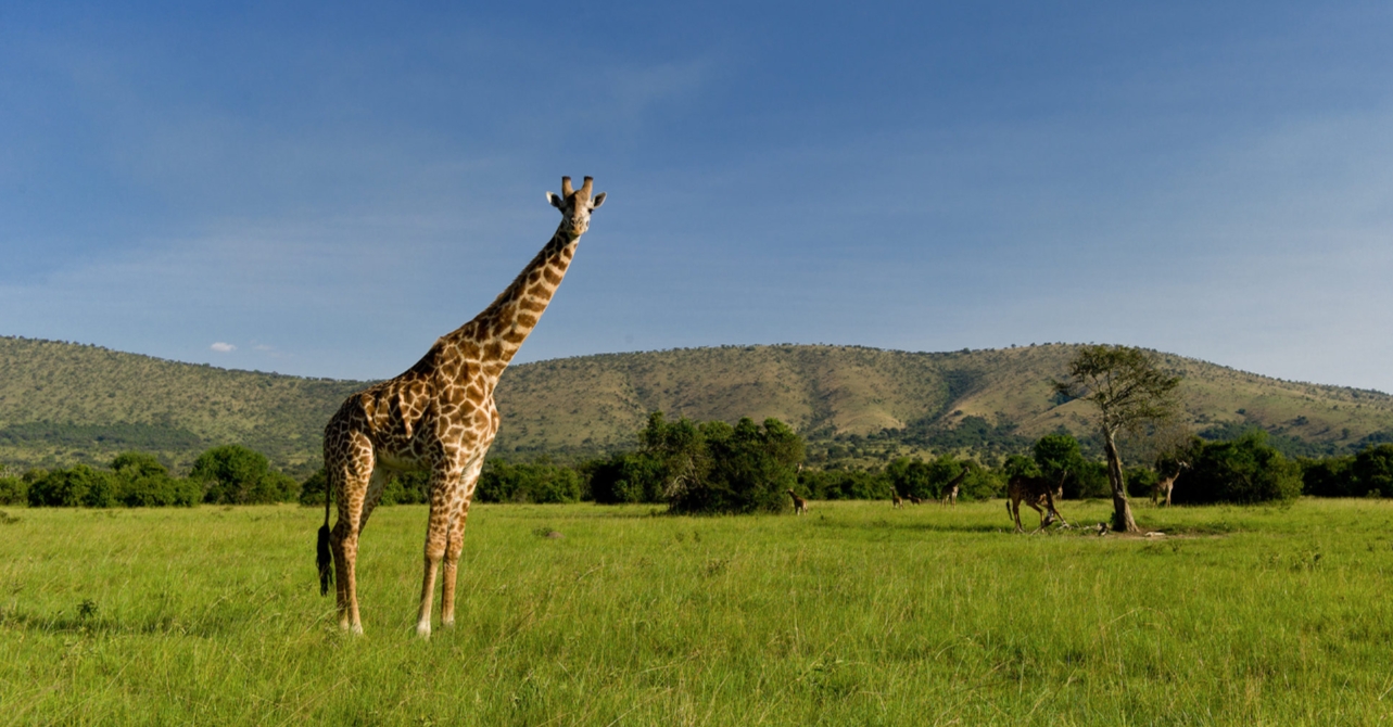 Akagera National Park