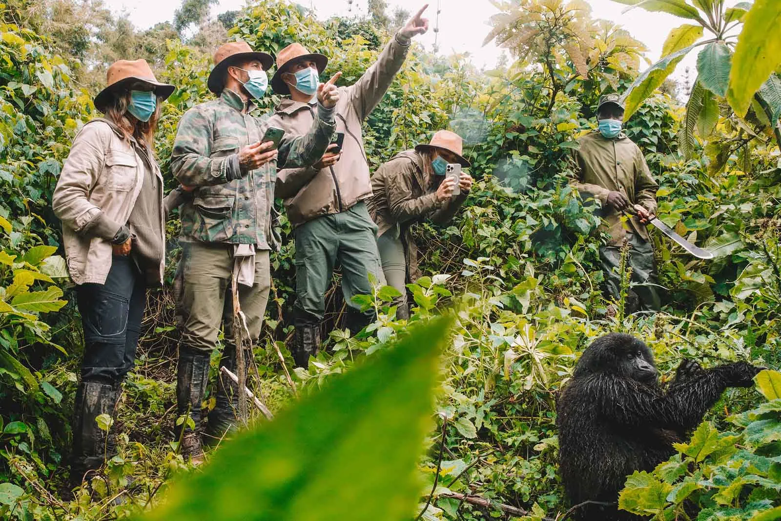 Rwanda on a Budget for Safaris