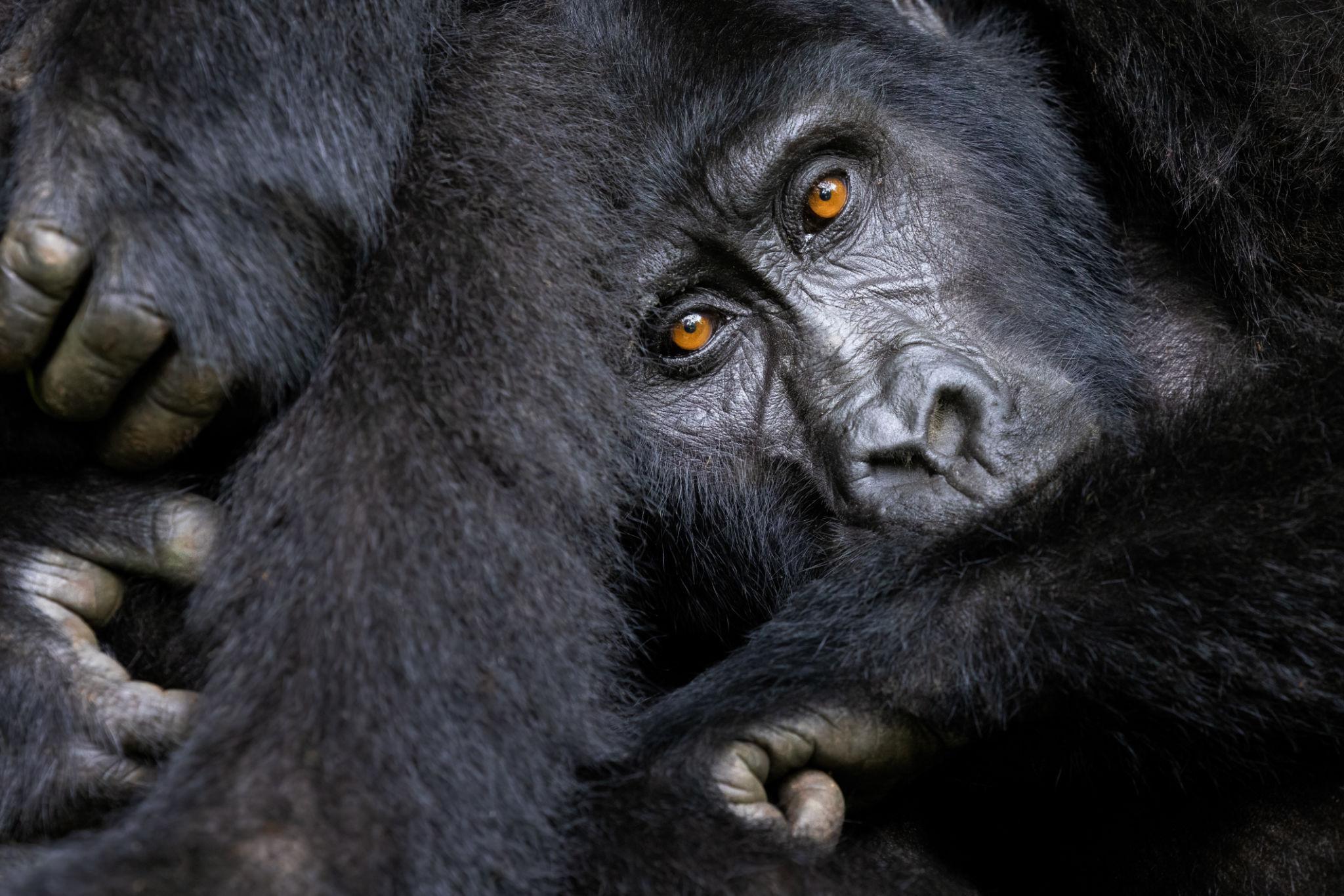 7-Day Rwanda Itinerary