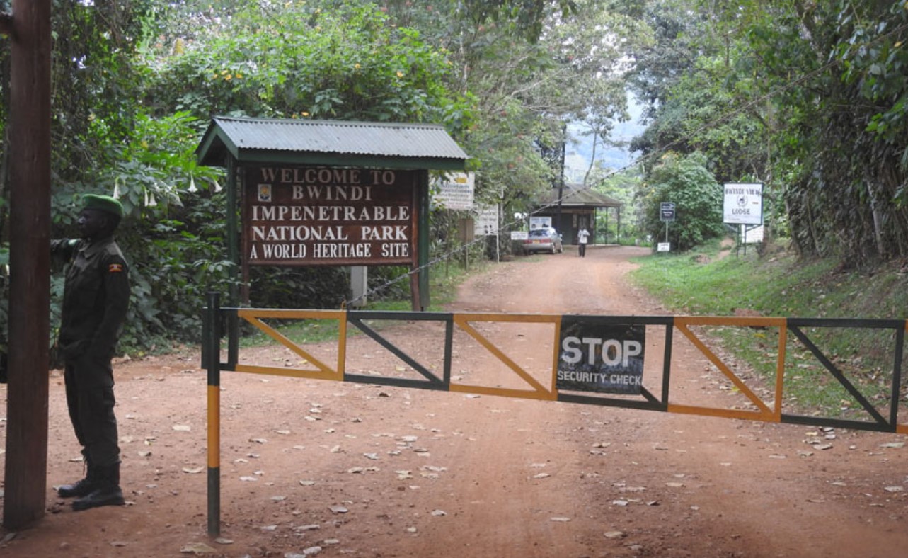 Safari vehicle traveling from Entebbe through Uganda hills toward Bwindi Forest.