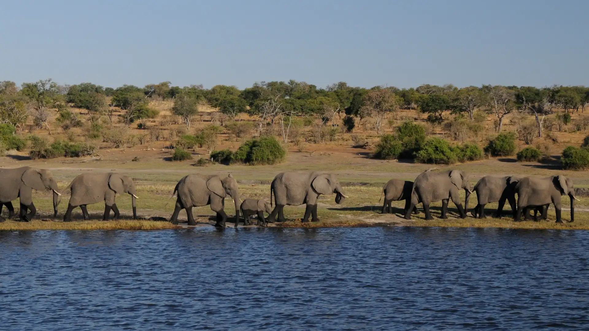 3 Days Ngorongoro Conservation Area Field Journey