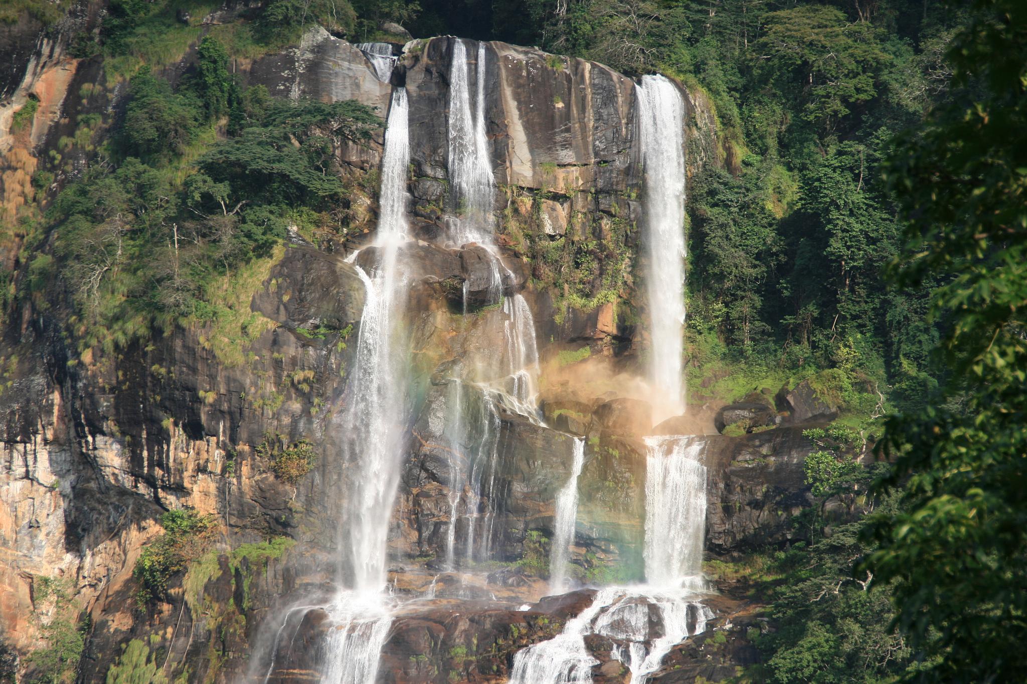 Lush rainforest trail leading toward scenic waterfalls in Udzungwa Mountains National Park landscape.