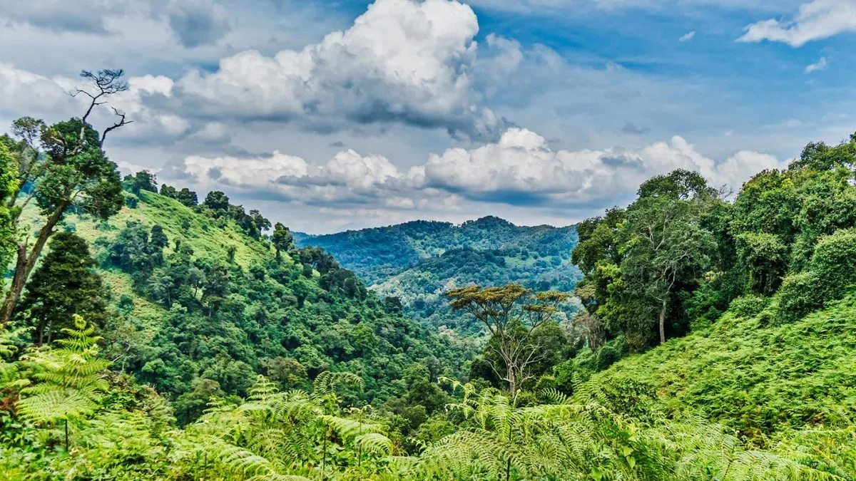 Travelers driving through Uganda countryside toward Bwindi Impenetrable Forest for gorilla trekking.
