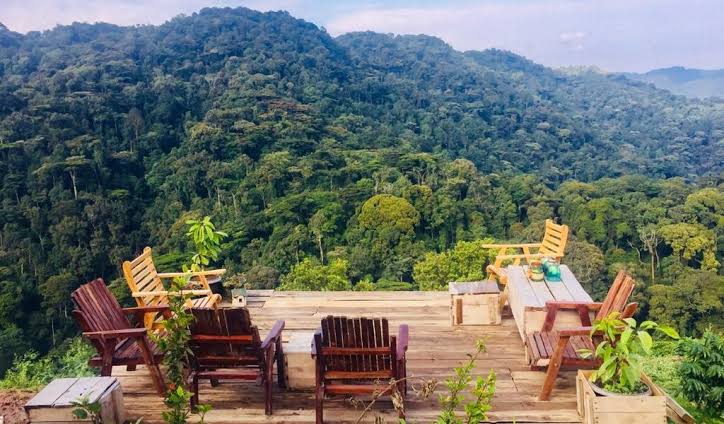 Luxury lodge overlooking Bwindi Forest near mountain gorilla trekking trails.
