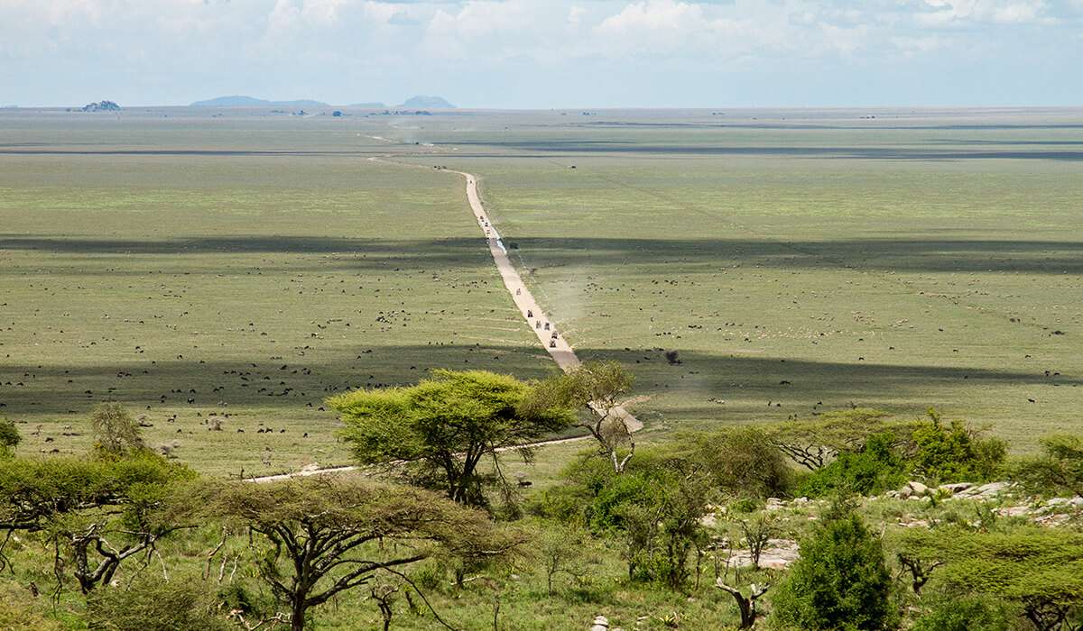 Sunset over Grumeti River showcasing lush woodlands and scenic Western Serengeti landscapes beautifully.