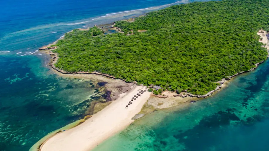 Bongoyo Island beach with turquoise water, palm trees, and thatched bandas near Dar es Salaam