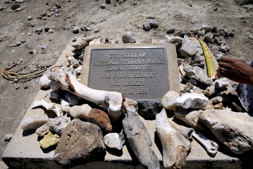 Ancient excavation site revealing early human fossils beneath rugged cliffs in northern Tanzania landscape.