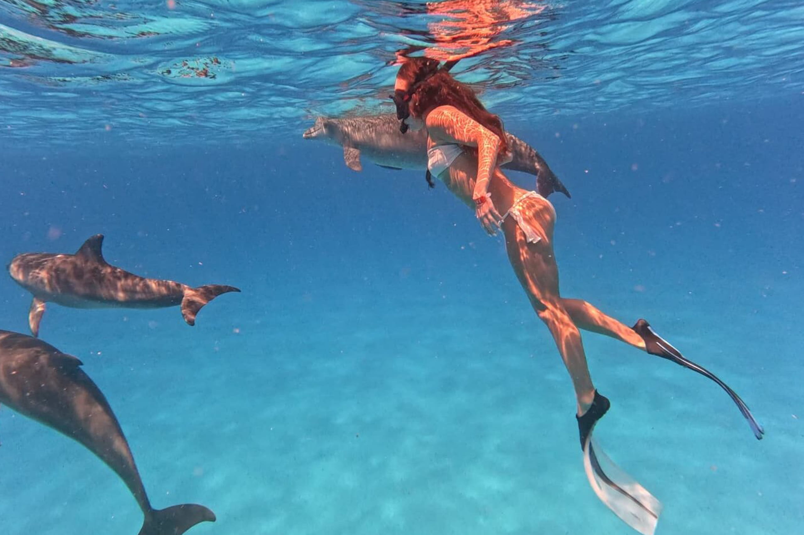 Wild dolphins swimming gracefully through clear turquoise waters near Kizimkazi's peaceful coastline at sunrise.