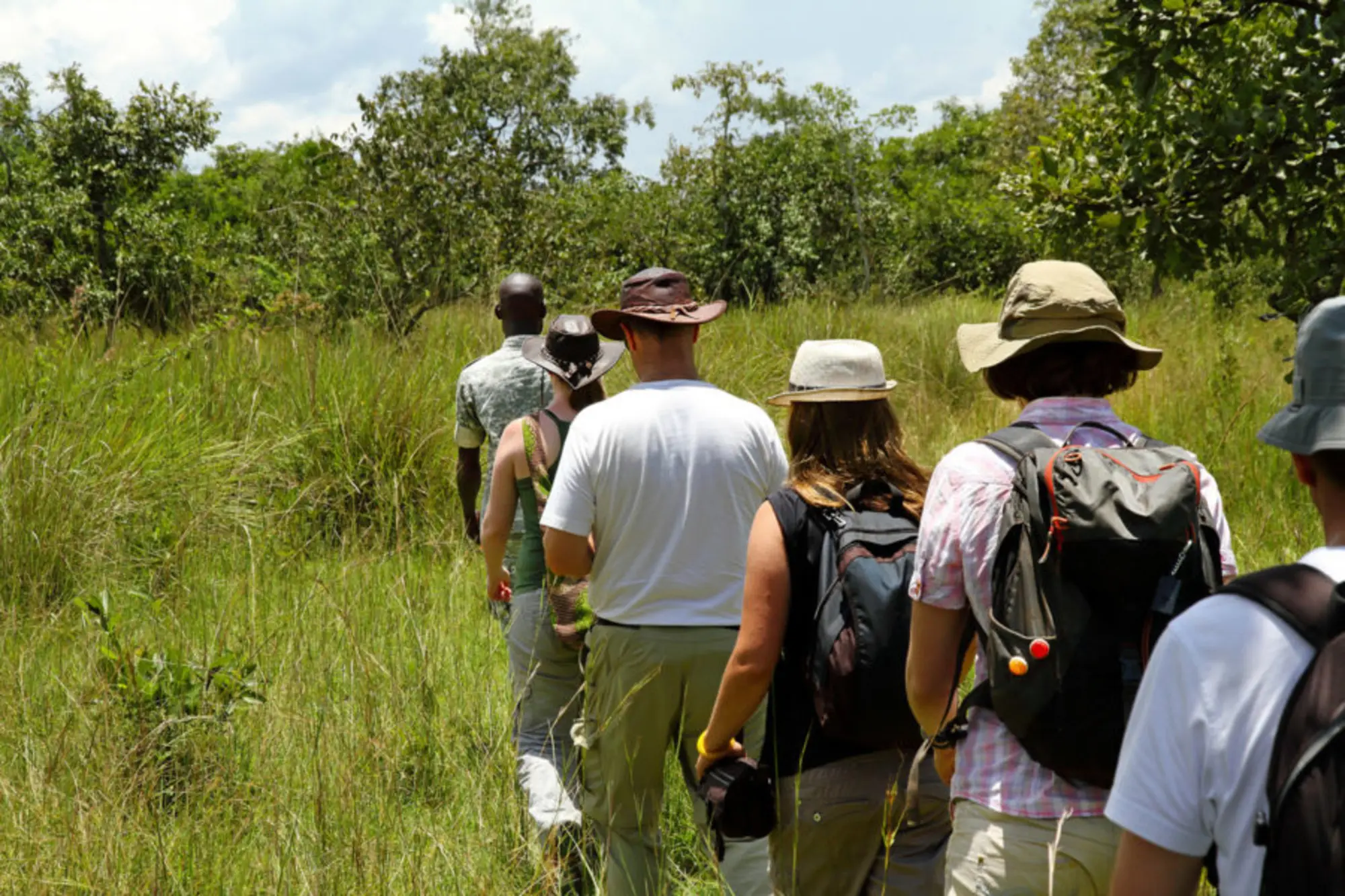 Walking safari guide leading guests through Selous wilderness observing wildlife safely on foot together