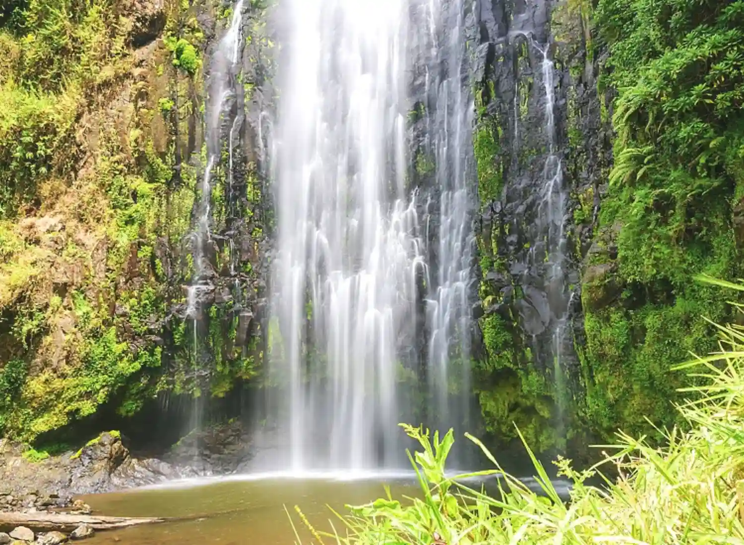 Scenic trail leading to Materuni Waterfalls through lush Mount Kilimanjaro foothills and coffee farms.