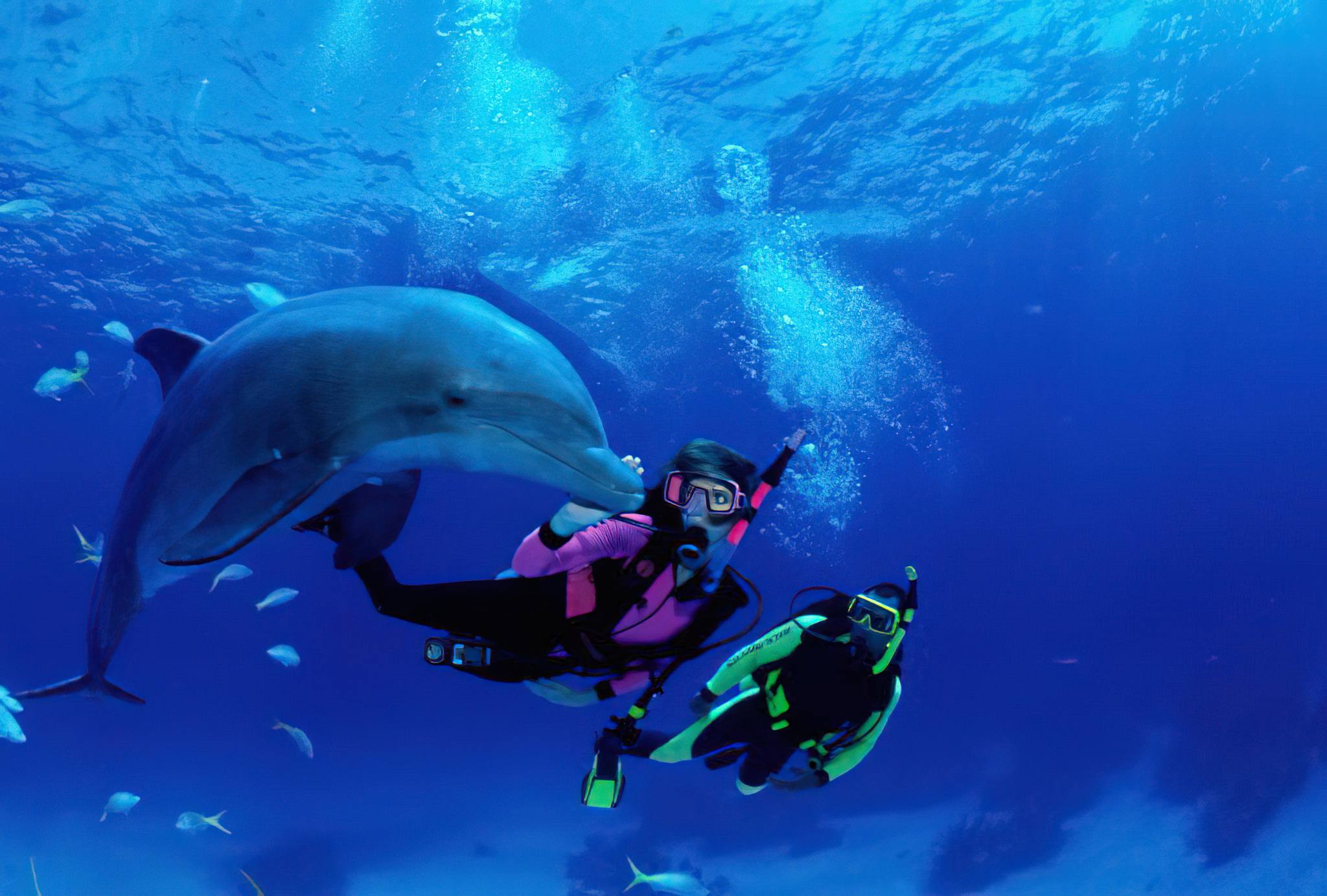 Beginner scuba divers learning underwater skills beside vibrant coral reefs in Zanzibar waters.