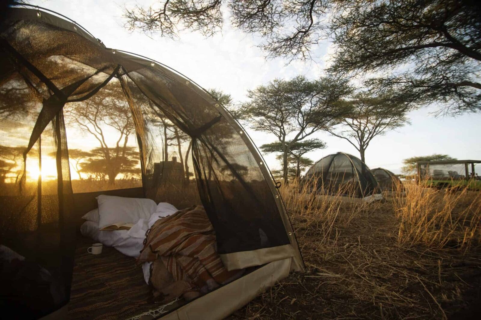 Luxury fly camp illuminated beneath brilliant African stars in remote Selous wilderness at night.