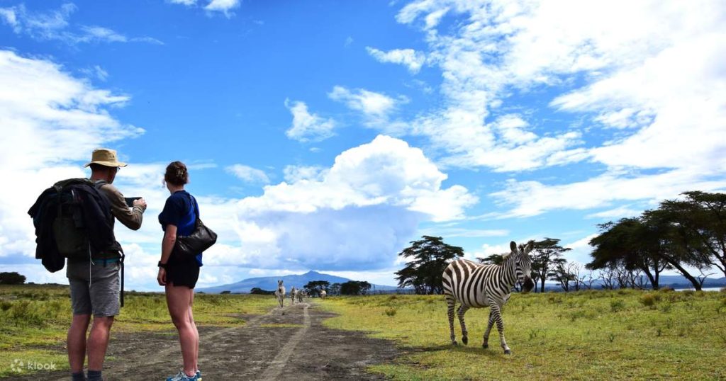 Crescent Island Naivasha: Walking with Giraffes and Zebras