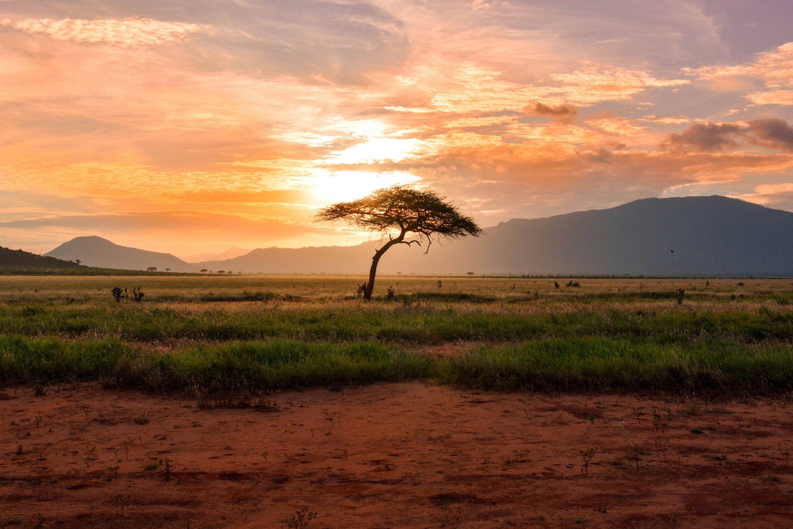 Green volcanic hills roll across Chyulu Hills National Park under Kenyan skies