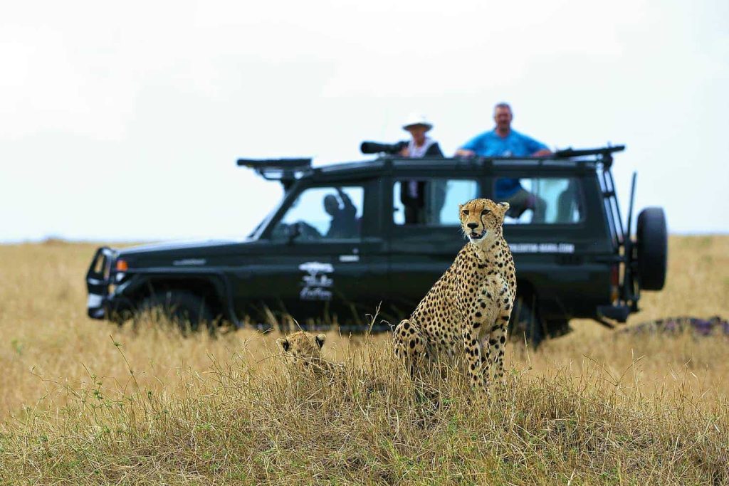 Entim Camp Area: Mara Safari the Migration Route