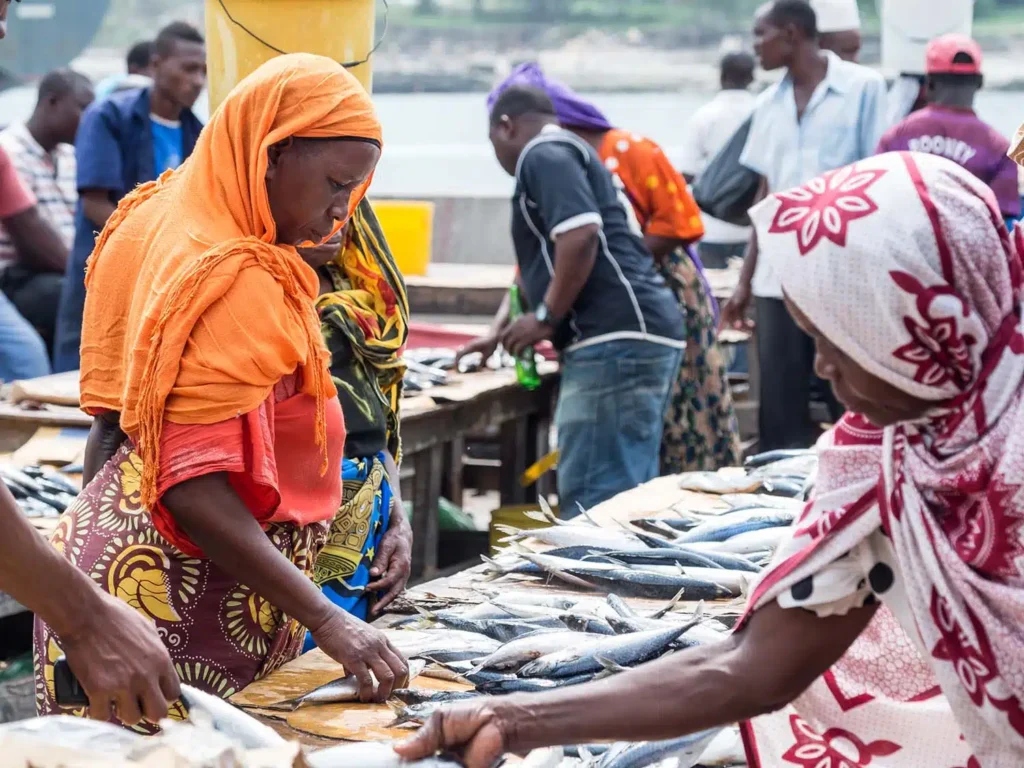 alt text of 12 wordsFishermen unloading fresh catch at dawn on Dar es Salaam's busy coastal fish market.