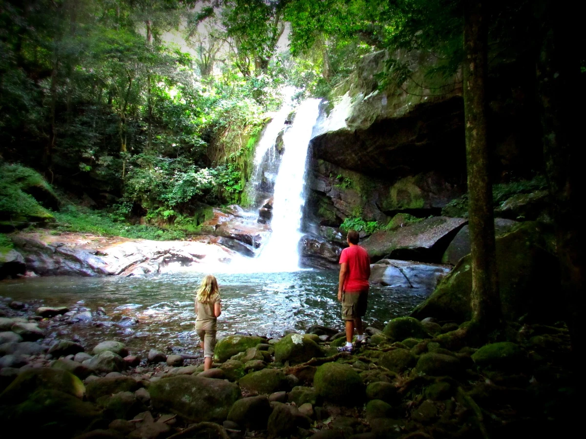 Hikers climbing forest trail toward beautiful Sanje Waterfalls inside Udzungwa Mountains National Park.