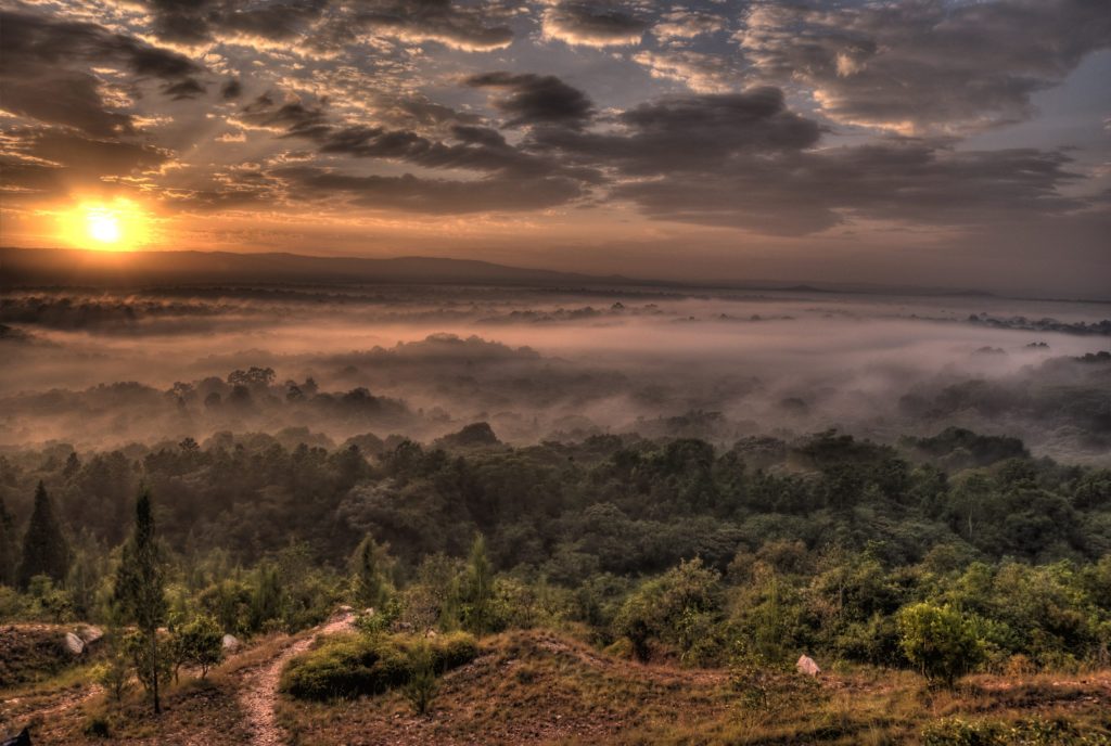Kakamega Forest Reserve: Kenya's Last Remnant