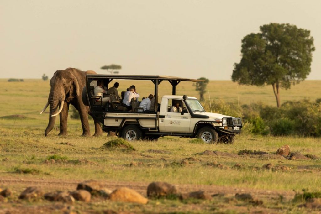 Karen Blixen Museum vs Nairobi Safari Walk