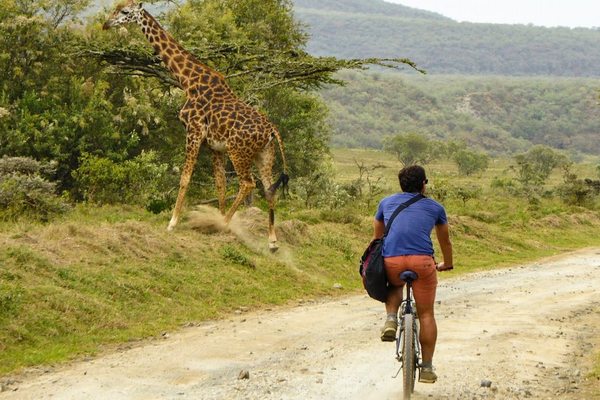 Cyclist riding winding escarpment road overlooking breathtaking landscapes across Kerio Valley during sunrise
