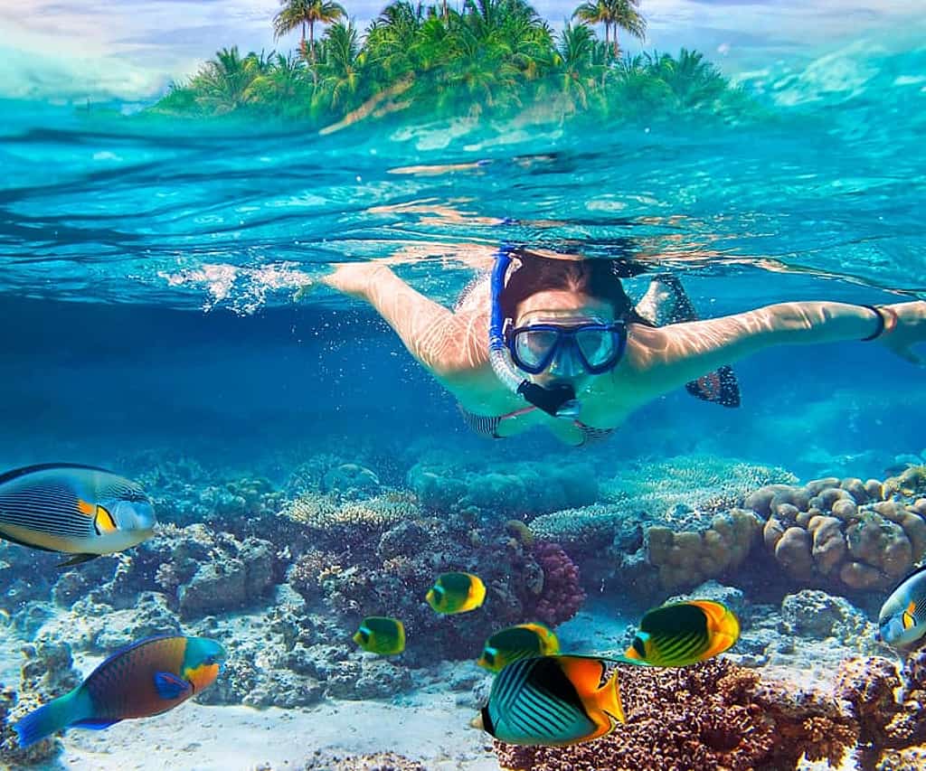 Snorkeler exploring Mnemba Atoll's colorful coral reef with tropical fish in Zanzibar