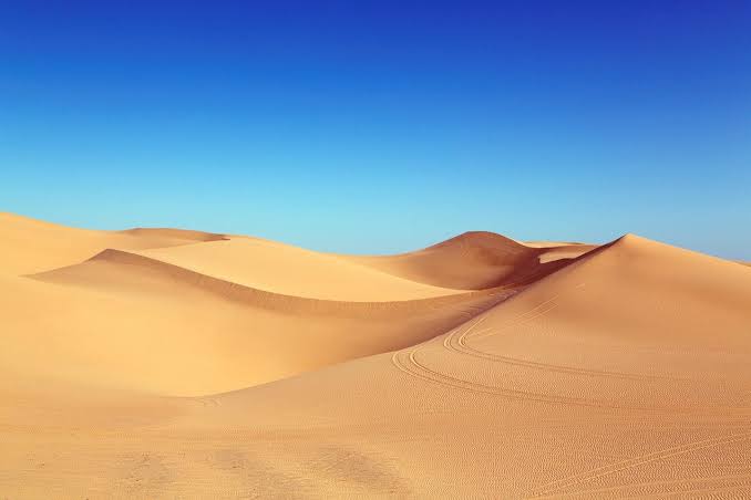 Moving volcanic dune stretching across Tanzania's grasslands beneath bright skies with grazing zebras nearby.