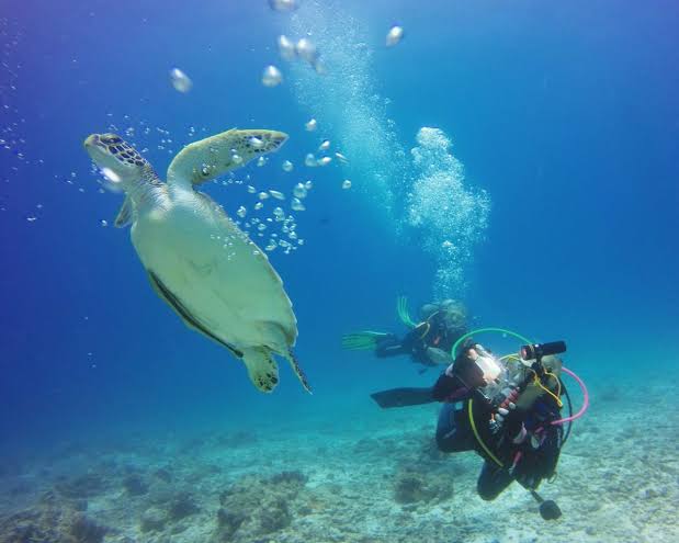 Certified instructor guiding beginner scuba students through calm clear waters around Zanzibar coral reefs.