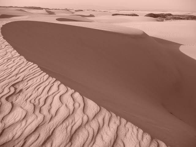 Moving volcanic dune rising across Tanzania's plains beneath clear blue skies with wildlife nearby.