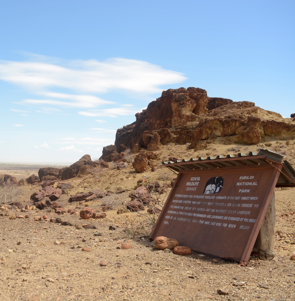 Ancient fossils and volcanic plains at Sibiloi National Park along Lake Turkana, Kenya.