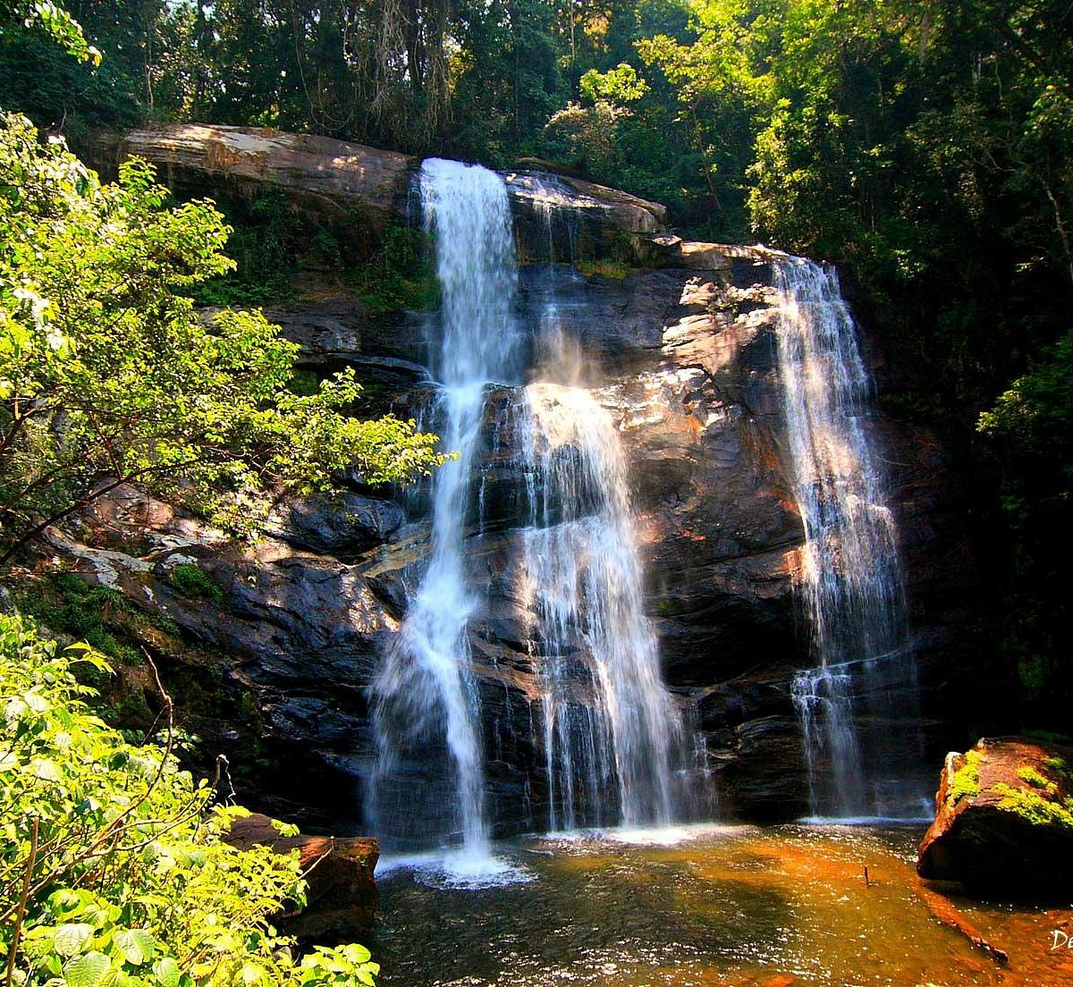 Scenic Sanje Waterfalls surrounded by lush rainforest and towering cliffs in southern Tanzania.
