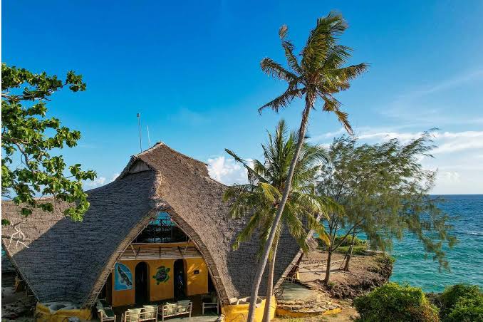 Chumbe Island conservation area featuring coral reef marine life beneath Zanzibar waters