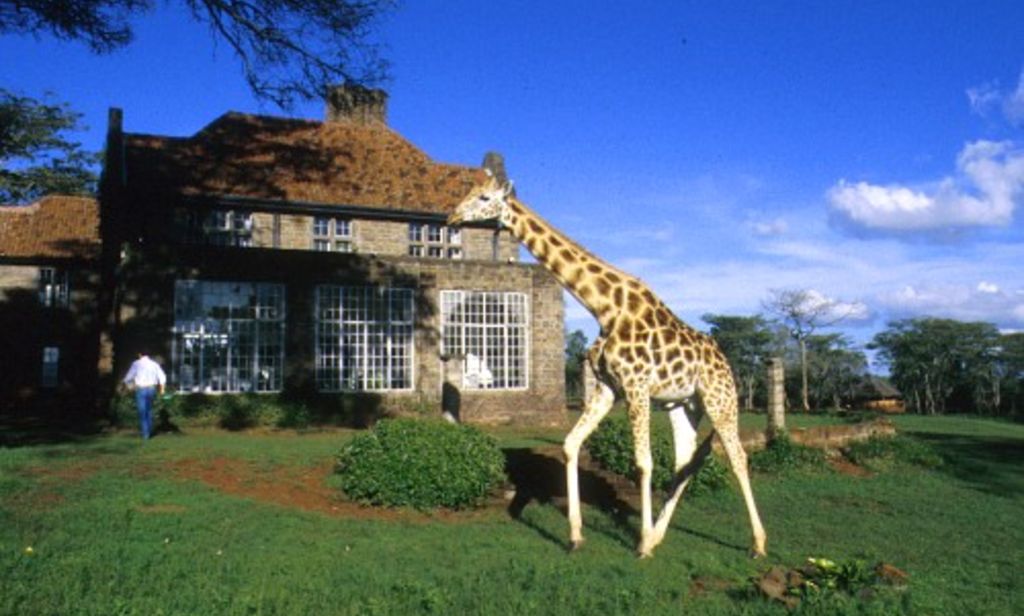 Karen Blixen Museum farmhouse gardens compared with Nairobi Safari Walk boardwalk wildlife scene.