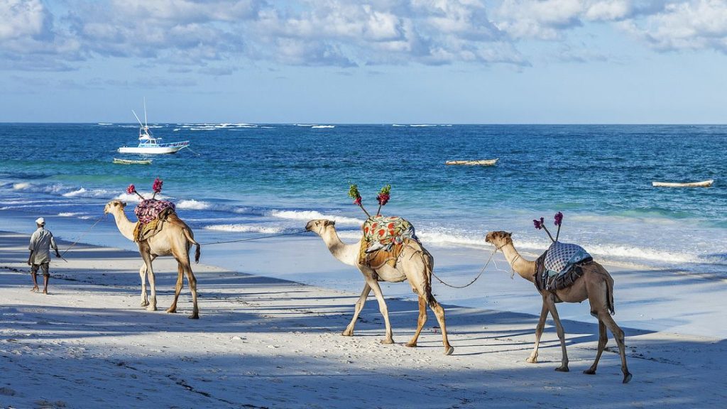 Diani Beach vs Watamu: Kenya's Two Best Beach Destinations
