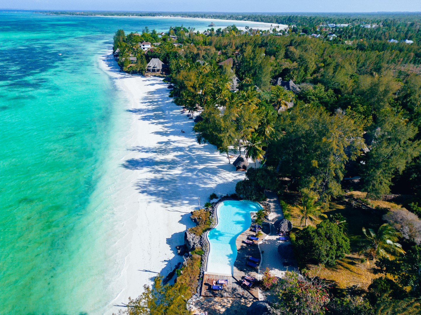 White sandy Zanzibar beach with turquoise waters, swaying palms, and peaceful tropical coastline views.