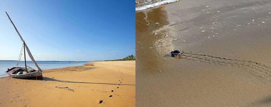 Best Time to Visit for Lamu: What to Know